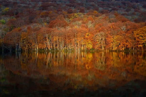 ������� ���������� 2014 ���� �� National Geographic (23 ����)