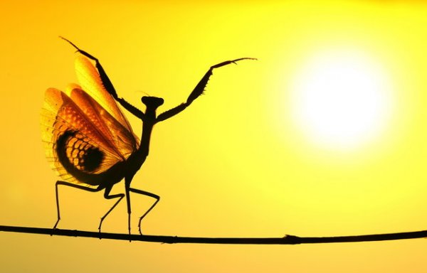 ������� ���������� 2014 ���� �� National Geographic (23 ����)
