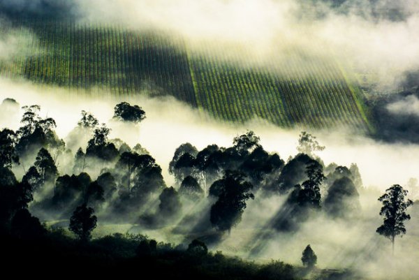 ������� ���������� 2014 ���� �� National Geographic (23 ����)