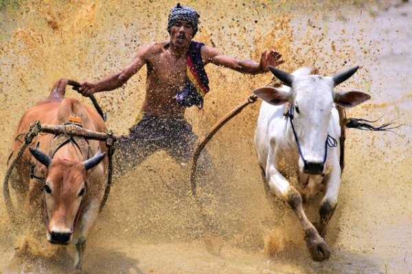 ������� ���������� 2014 ���� �� National Geographic (23 ����)