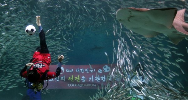 ��������� ������ � ��������� ��������� COEX (7 ���� + �����)