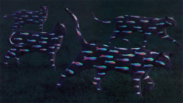 ������������ ���� � ����� (20 ����)