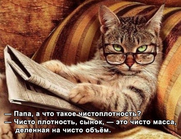 ��� ����� ������ (26 ����)