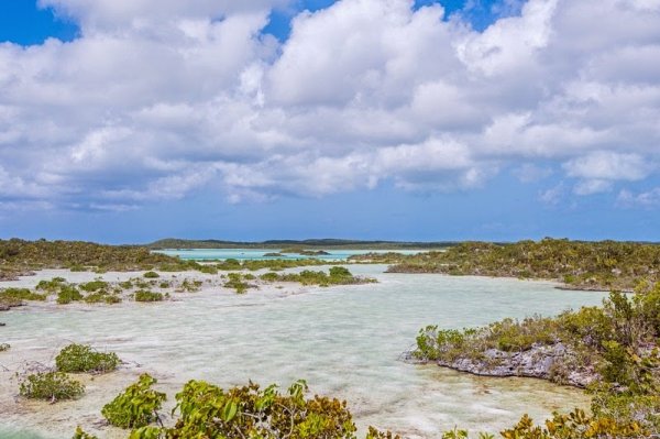 ��������� ���� ������ Chalk Sound (9 ����)