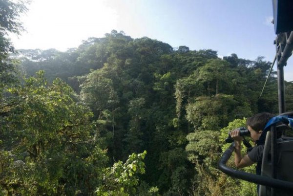 ��������� ��������� ��� ����������� ����� � Mashpi Lodge (6 ����)