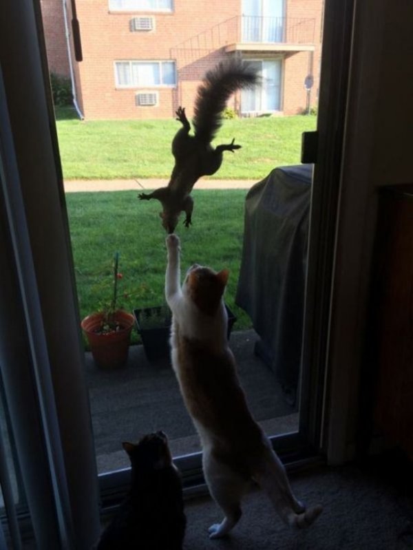 �����, ������� �������� ��� ���������� (15 ����)