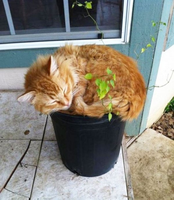 ����� � ��������� ��������� (18 ����)