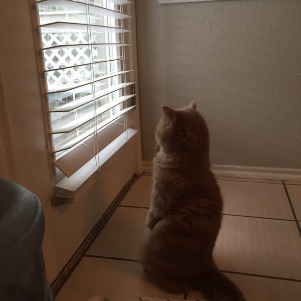 ��� ������, ������� ������, ��� �� ������� (12 ����)