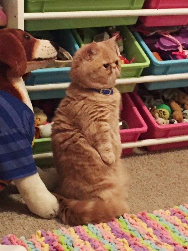 ��� ������, ������� ������, ��� �� ������� (12 ����)
