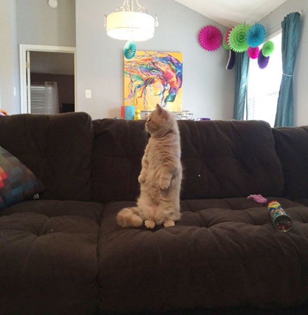 ��� ������, ������� ������, ��� �� ������� (12 ����)