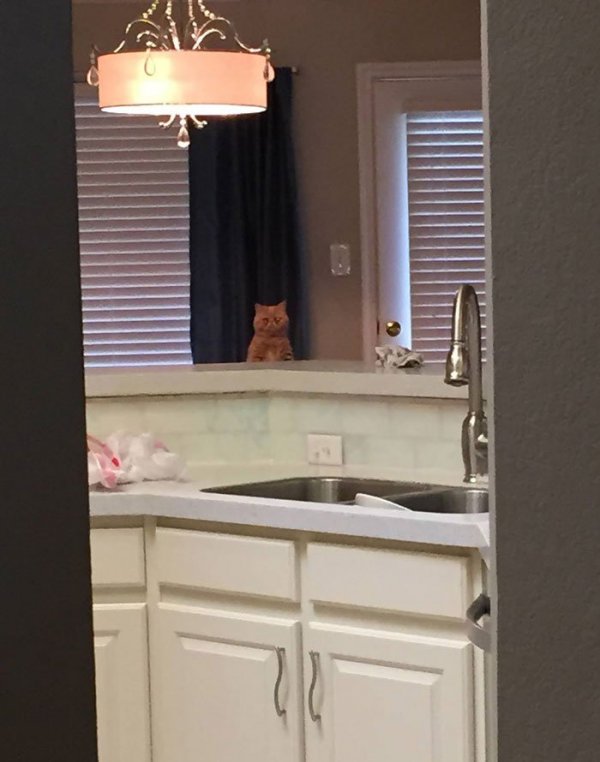��� ������, ������� ������, ��� �� ������� (12 ����)