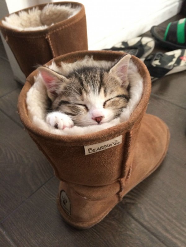 �������������� ���� �� ��������� �������� (31 ����)