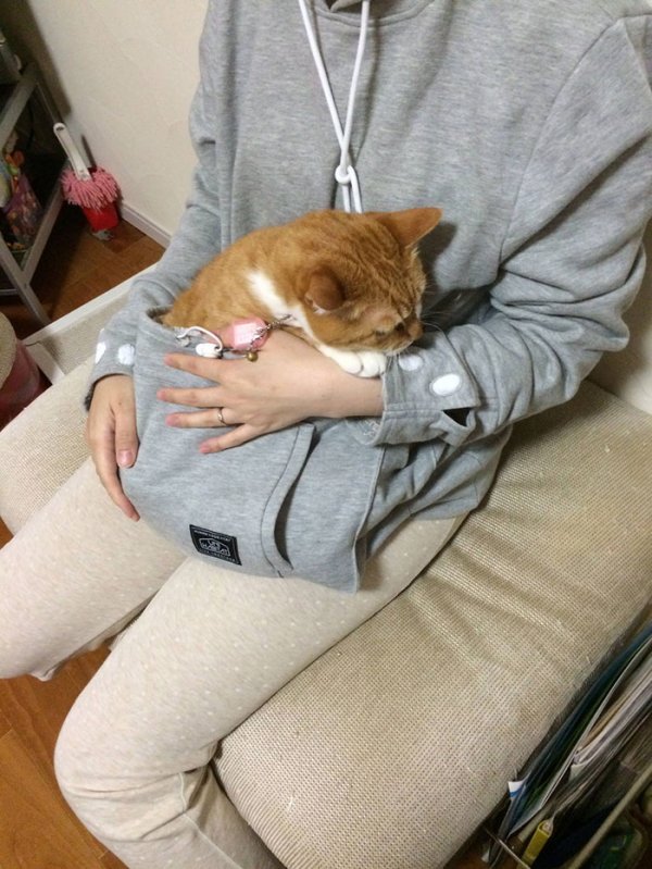 ��������� � ������ Mewgaroo ��� ������� ����� (12 ����)