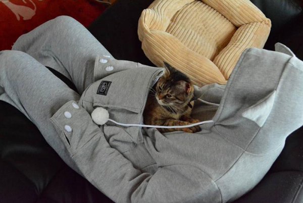 ��������� � ������ Mewgaroo ��� ������� ����� (12 ����)