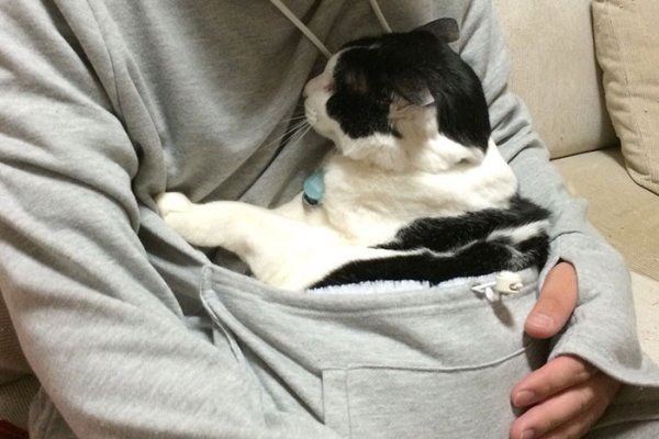 ��������� � ������ Mewgaroo ��� ������� ����� (12 ����)