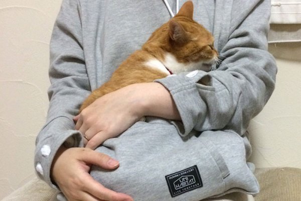 ��������� � ������ Mewgaroo ��� ������� ����� (12 ����)