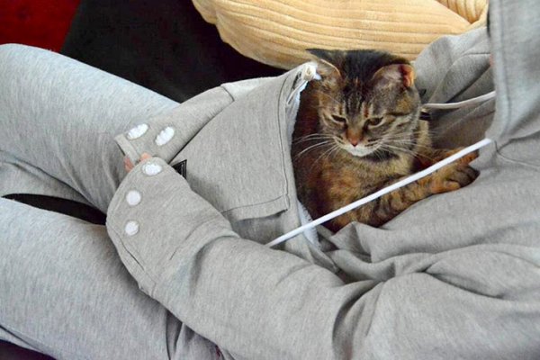 ��������� � ������ Mewgaroo ��� ������� ����� (12 ����)