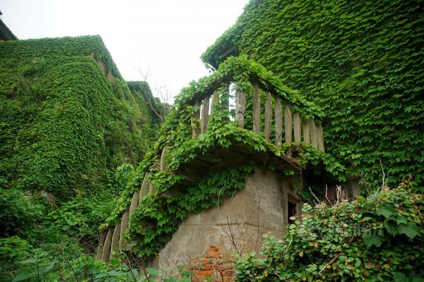 ��������� �������� ����������� ������� � ����� (10 ����)