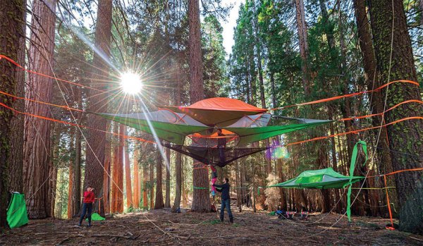 ��������� ������� Tentsile Tree Tent (10 ����)