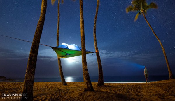 ��������� ������� Tentsile Tree Tent (10 ����)