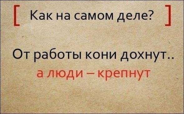 Известные пословицы и поговорки и их полные варианты (9 фото)