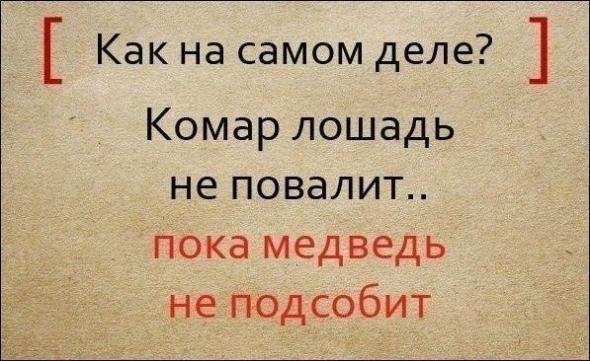 Известные пословицы и поговорки и их полные варианты (9 фото) Известные пословицы и поговорки и их полные варианты (9 фото)
