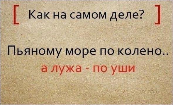 Известные пословицы и поговорки и их полные варианты (9 фото) Известные пословицы и поговорки и их полные варианты (9 фото)