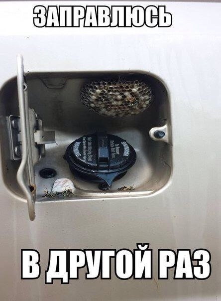 Прикольные картинки на автотематику (17 шт) Прикольные картинки на автотематику (17 шт)