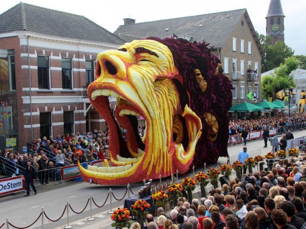 ��������� ����� Bloemencorso Zundert 2015 � ����������� (18 ����)