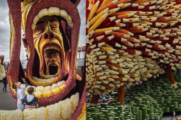 ��������� ����� Bloemencorso Zundert 2015 � ����������� (18 ����)