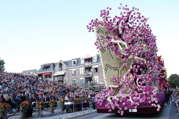 ��������� ����� Bloemencorso Zundert 2015 � ����������� (18 ����)