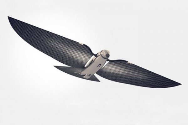 ����������� ����� Bionic Bird, ����������� ���������� (10 ���� + �����)