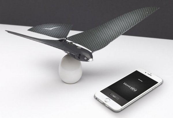 ����������� ����� Bionic Bird, ����������� ���������� (10 ���� + �����)
