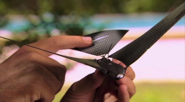 ����������� ����� Bionic Bird, ����������� ���������� (10 ���� + �����)