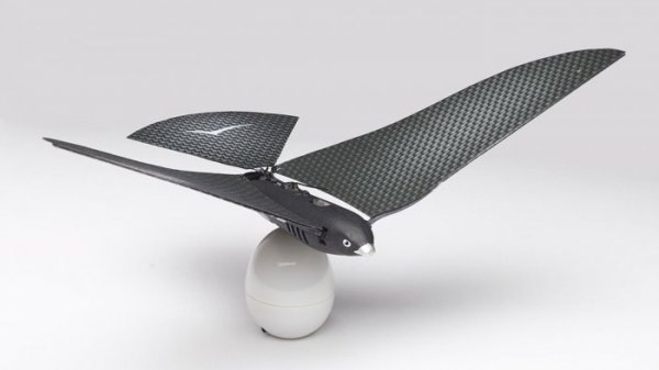 ����������� ����� Bionic Bird, ����������� ���������� (10 ���� + �����)