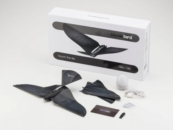 ����������� ����� Bionic Bird, ����������� ���������� (10 ���� + �����)