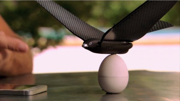 ����������� ����� Bionic Bird, ����������� ���������� (10 ���� + �����)