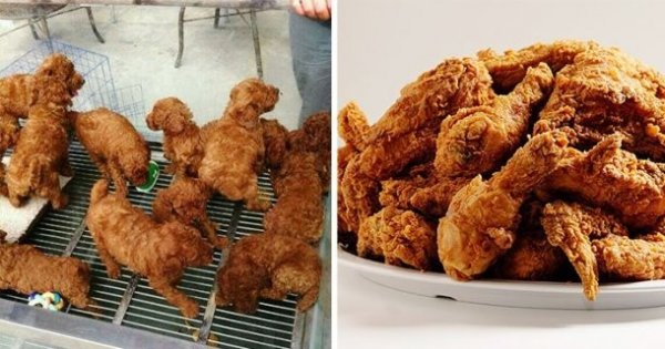������, ������������ ������� �� ����-�� ��� ���-�� ������ (24 ����)
