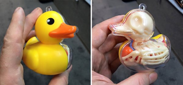 ������������� ������� �� �������� �����