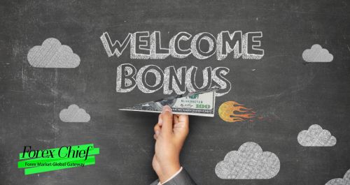 Объективный обзор ForexChief